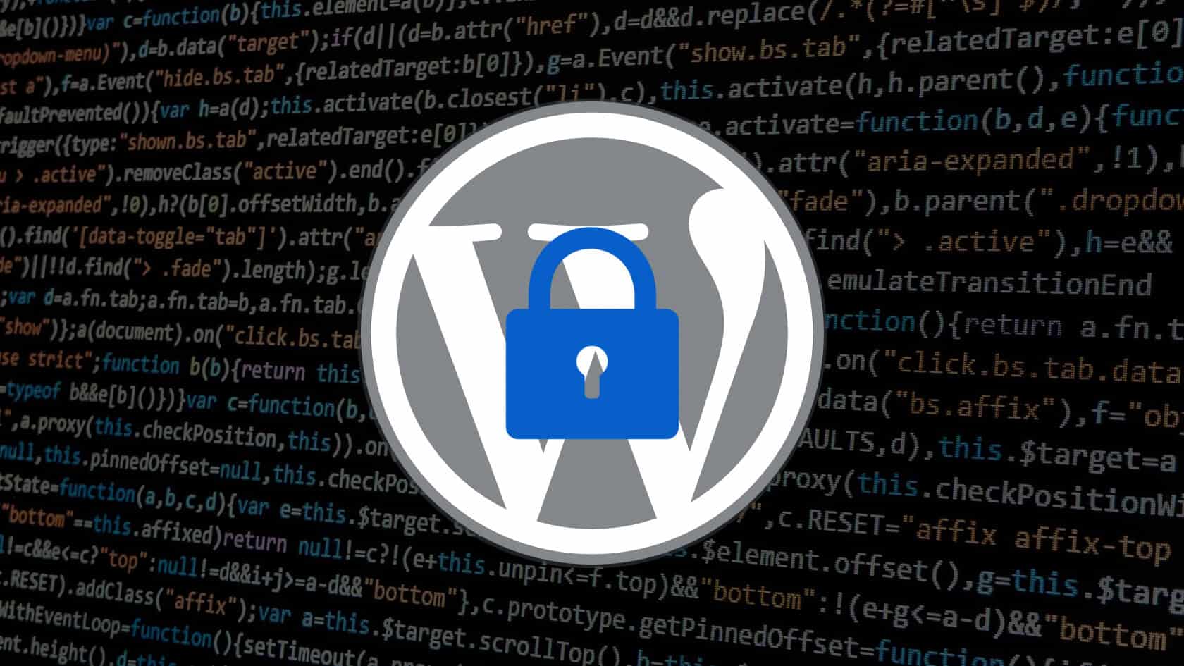 Fight Fraudulent Transactions on WordPress & Protect Your Website