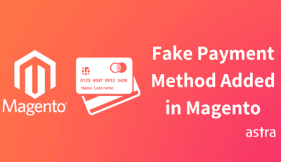 Fake Payment Method Added in Magento Store - Credit Card Info Getting Leaked