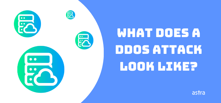 What Does a DDoS Attack Look Like?