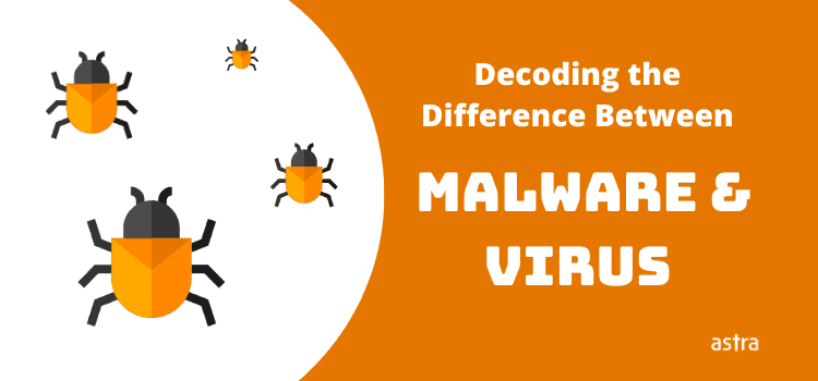 Decoding the Difference Between Malware & Virus