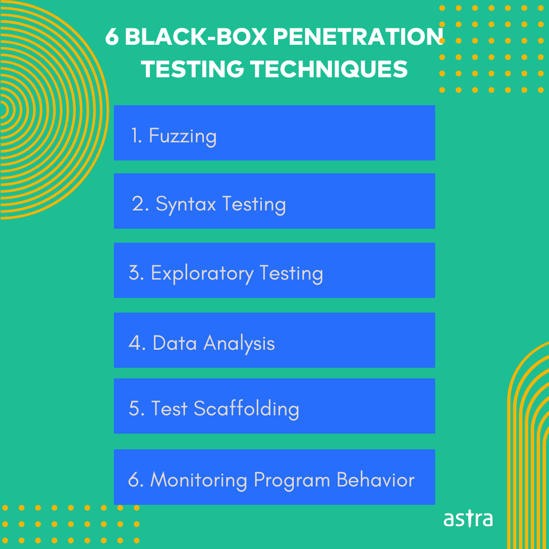 Black box penetration testing techniques